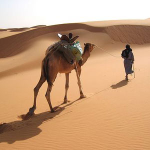 Mauritania