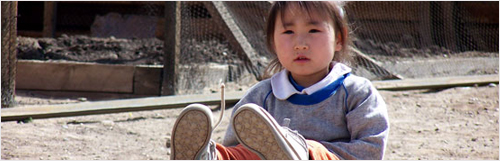 Mongolia country banner