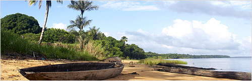 Suriname Country View