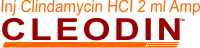 Cleodin logo