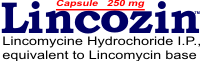 Lincozin logo