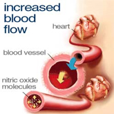 tajdrug_bloodvessels